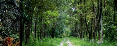 UP to develop one wetland in every district | UP to develop one wetland in every district UP to develop one wetland in every district | UP to develop one wetland in every district