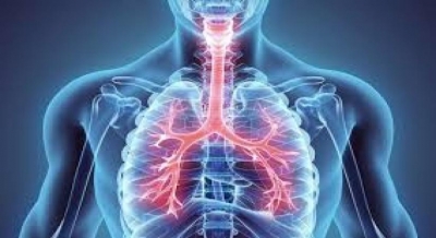 A single cough droplet can travel up to 6.6 metres: Study | A single cough droplet can travel up to 6.6 metres: Study A single cough droplet can travel up to 6.6 metres: Study | A single cough droplet can travel up to 6.6 metres: Study