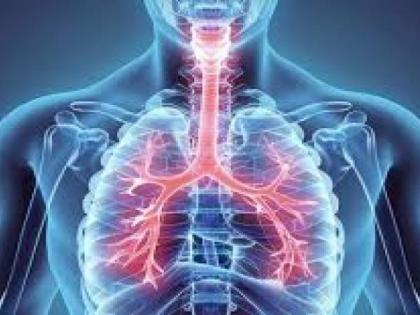 Amid high pollution levels, docs urge people to keep lungs healthy | Amid high pollution levels, docs urge people to keep lungs healthy Amid high pollution levels, docs urge people to keep lungs healthy | Amid high pollution levels, docs urge people to keep lungs healthy