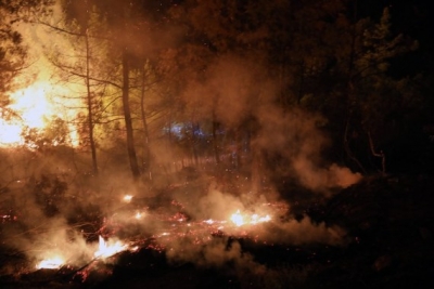 Turkey battles 2 wildfires, others under control | Turkey battles 2 wildfires, others under control