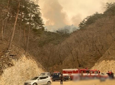 S.Korea: Wildfires on east coast burn nearly 24,000 hectare of woodland | S.Korea: Wildfires on east coast burn nearly 24,000 hectare of woodland