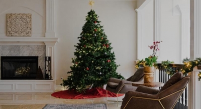 Christmas stars shine bright in Andhra's Godavari | Christmas stars shine bright in Andhra's Godavari