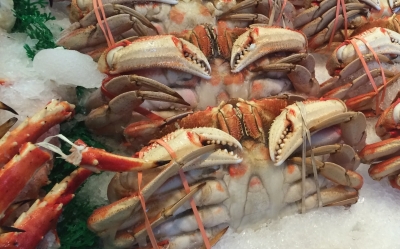 Imported seafood increasing resistance to colistin, a potent antibiotic: Study | Imported seafood increasing resistance to colistin, a potent antibiotic: Study Imported seafood increasing resistance to colistin, a potent antibiotic: Study | Imported seafood increasing resistance to colistin, a potent antibiotic: Study