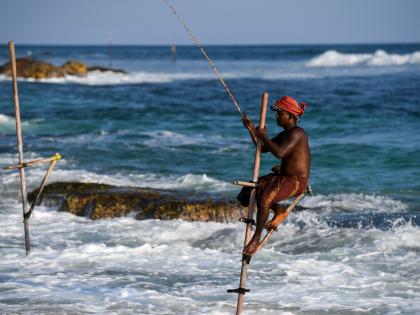 Tourist arrivals in Sri Lanka surged to monthly high in Nov | Tourist arrivals in Sri Lanka surged to monthly high in Nov Tourist arrivals in Sri Lanka surged to monthly high in Nov | Tourist arrivals in Sri Lanka surged to monthly high in Nov