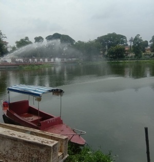 Drop in oxygen level kills hundreds of fish in Guwahati pond | Drop in oxygen level kills hundreds of fish in Guwahati pond
