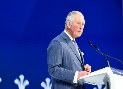 Prince Charles calls for 'swift' action on climate change | Prince Charles calls for 'swift' action on climate change