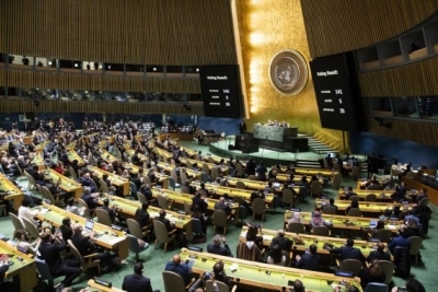 UNGA resolution calls for efforts to mitigate food security crisis | UNGA resolution calls for efforts to mitigate food security crisis