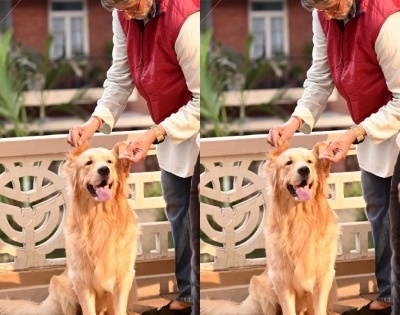 Big B shares picture posing with his 'co-star' | Big B shares picture posing with his 'co-star'