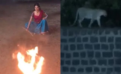 A leopard shows up when a tiger was to appear during the shoot of 'Baghin' | A leopard shows up when a tiger was to appear during the shoot of 'Baghin'