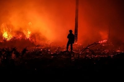 Wildfires burns over 3,200 hectares of land in France | Wildfires burns over 3,200 hectares of land in France