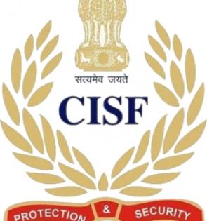 CISF to install body scanners at major airports soon | CISF to install body scanners at major airports soon
