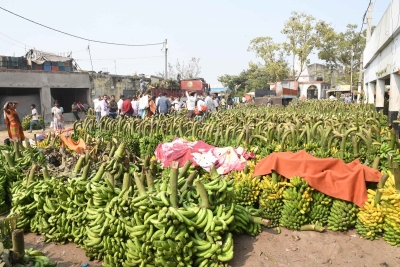 TN banana farmers go bananas on slippery lockdown | TN banana farmers go bananas on slippery lockdown