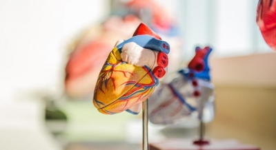 Even mild Covid made arteries stiffer, raising cardiovascular risks: Study | Even mild Covid made arteries stiffer, raising cardiovascular risks: Study
