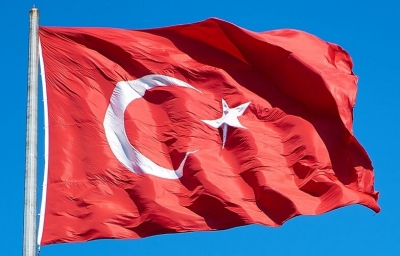 Turkey summons Danish ambassador over anti-Islam protests | Turkey summons Danish ambassador over anti-Islam protests