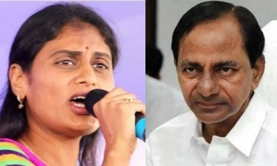 In fight against KCR, Sharmila reaches out to BJP, Cong leaders | In fight against KCR, Sharmila reaches out to BJP, Cong leaders