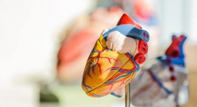 Treating the heart with scientific breakthroughs, lifestyle changes | Treating the heart with scientific breakthroughs, lifestyle changes