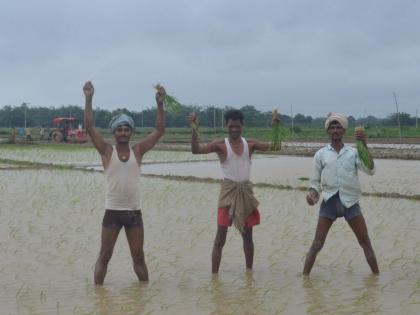 81,595 Bihar farmers ineligible for PM Kisan Samman Nidhi Scheme, will have to refund money | 81,595 Bihar farmers ineligible for PM Kisan Samman Nidhi Scheme, will have to refund money