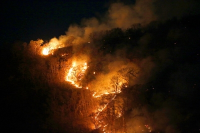 Brazil wildfires spark environmental emergency declaration | Brazil wildfires spark environmental emergency declaration