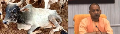 Lumpy virus: Yogi bans cattle fairs in UP | Lumpy virus: Yogi bans cattle fairs in UP