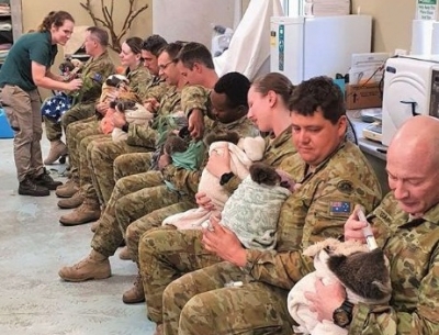 Aussie soldiers cuddle, feed koalas saved from bushfires | Aussie soldiers cuddle, feed koalas saved from bushfires
