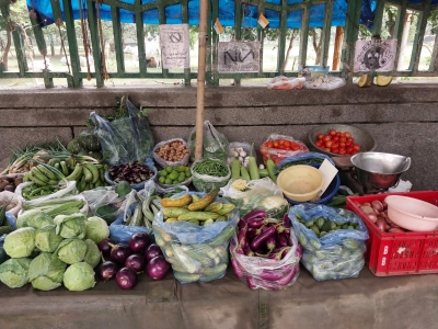 Amid festival season, vegetable prices soar in Delhi-NCR | Amid festival season, vegetable prices soar in Delhi-NCR