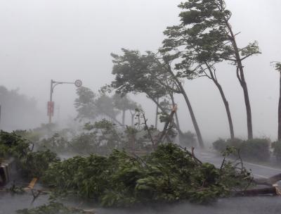Taiwan lifts typhoon Hinnamnor warning, no casualties reported | Taiwan lifts typhoon Hinnamnor warning, no casualties reported