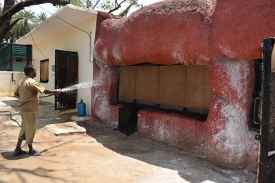Hyderabad zoo installs coolers, sprinklers to protect animals from heat | Hyderabad zoo installs coolers, sprinklers to protect animals from heat