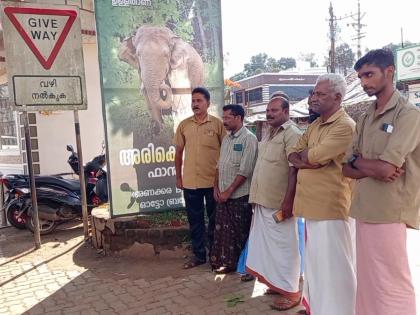 Strange but true! Kerala's killer elephant 'Arikomban' has huge fan base | Strange but true! Kerala's killer elephant 'Arikomban' has huge fan base