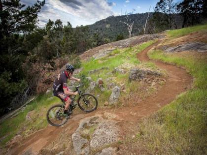 India's 1st SAI NCOE for Mountain Terrain Biking and Bicycle Motocross to be set up in Shimla | India's 1st SAI NCOE for Mountain Terrain Biking and Bicycle Motocross to be set up in Shimla
