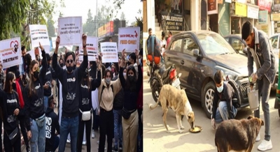 An initiative to help strays this winter | An initiative to help strays this winter