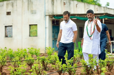 Shivakumar meets Rahul, gets proposal to have a say in K'taka cabinet selection | Shivakumar meets Rahul, gets proposal to have a say in K'taka cabinet selection