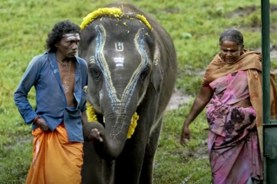 'The Elephant Whisperers' trailer depicts bond between an indigenous couple and a tusker | 'The Elephant Whisperers' trailer depicts bond between an indigenous couple and a tusker