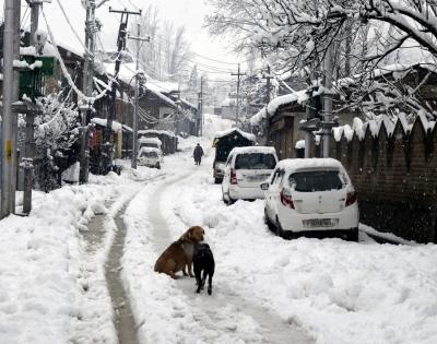 Snowfall lashes higher reaches of J&K | Snowfall lashes higher reaches of J&K