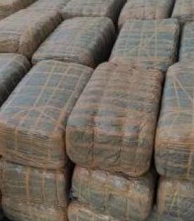 200 kg ganja seized in Hyderabad, 3 held | 200 kg ganja seized in Hyderabad, 3 held
