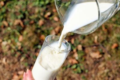 Dairy milk intake may up breast cancer risk | Dairy milk intake may up breast cancer risk Dairy milk intake may up breast cancer risk | Dairy milk intake may up breast cancer risk