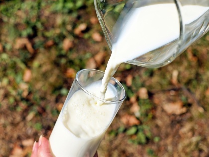 UP govt launches scheme to promote milk production | UP govt launches scheme to promote milk production