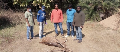 Spotted deer found dead on University of Hyderabad campus | Spotted deer found dead on University of Hyderabad campus