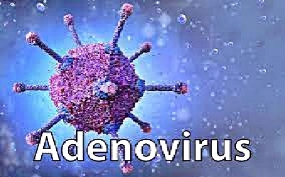 Adenovirus alarm: Bengal Health Department issues advisory | Adenovirus alarm: Bengal Health Department issues advisory