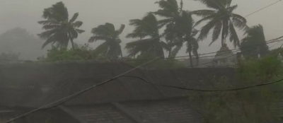Bengal to develop bio-shield to get protected from cyclonic storms | Bengal to develop bio-shield to get protected from cyclonic storms