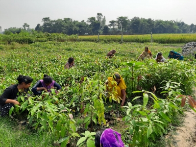 India-UK trade deal brings new hope, boosts crop exports and income: Farmers | India-UK trade deal brings new hope, boosts crop exports and income: Farmers