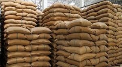 Paddy straw-based briquetting plant opened in Punjab | Paddy straw-based briquetting plant opened in Punjab Paddy straw-based briquetting plant opened in Punjab | Paddy straw-based briquetting plant opened in Punjab