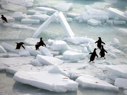 Antarctic ice shelves thinner than previously thought: Study | Antarctic ice shelves thinner than previously thought: Study Antarctic ice shelves thinner than previously thought: Study | Antarctic ice shelves thinner than previously thought: Study