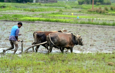 As target date approaches, doubling of farmers' incomes still a distant dream | As target date approaches, doubling of farmers' incomes still a distant dream