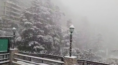 Shimla sees season's heaviest snowfall | Shimla sees season's heaviest snowfall