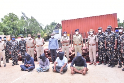 Andhra police arrest 4 red sanders smugglers | Andhra police arrest 4 red sanders smugglers