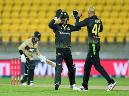 Agar scalps six as Australia thrash New Zealand in 3rd T20I | Agar scalps six as Australia thrash New Zealand in 3rd T20I