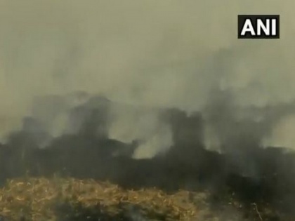 Delhi's air quality dips as Punjab farmers continue stubble burning | Delhi's air quality dips as Punjab farmers continue stubble burning