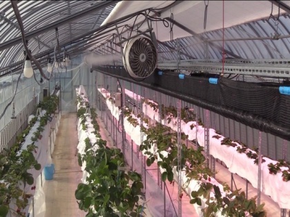 Panasonic introduces agricultural technology in Japan | Panasonic introduces agricultural technology in Japan