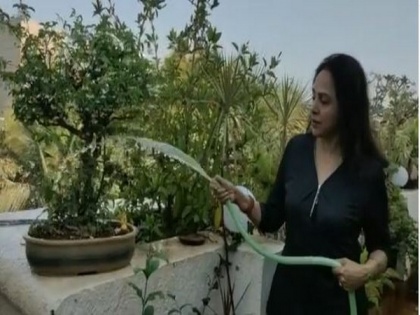 Hema Malini channels her nature love, waters plants in her terrace garden | Hema Malini channels her nature love, waters plants in her terrace garden