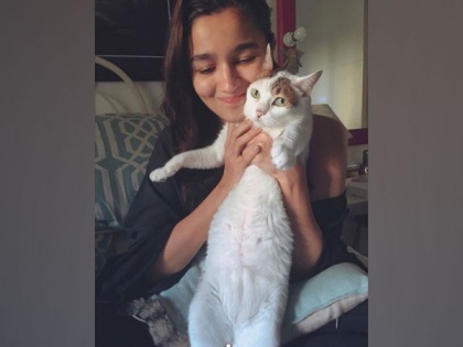 'Goodbye, my angel': Alia Bhatt bids adieu to her pet cat | 'Goodbye, my angel': Alia Bhatt bids adieu to her pet cat